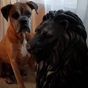 Meet your Posher, Zachary